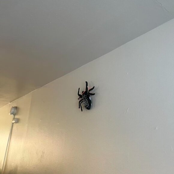 Wall Climbing Remote Control Spider - Picture 12 of 12